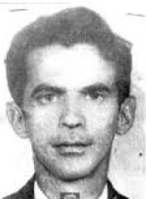 Miguel José Viana